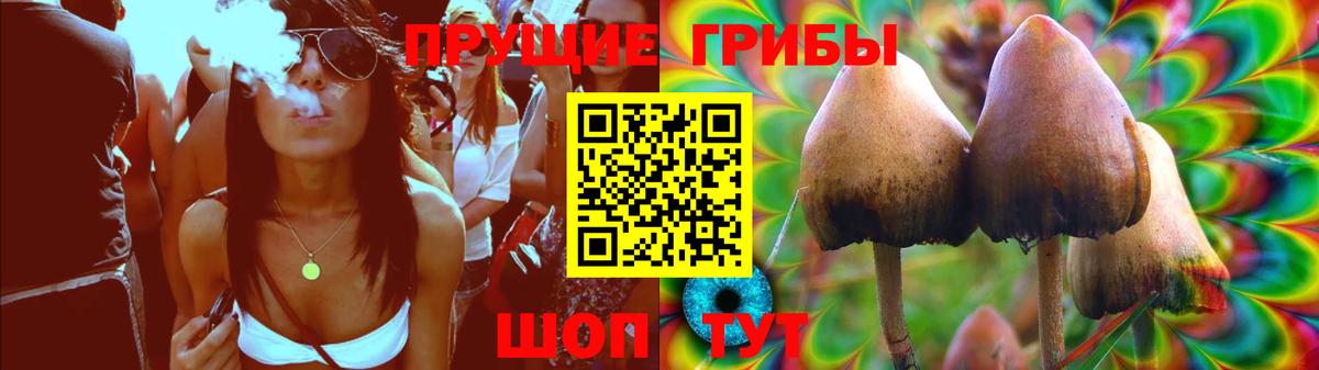 Псилоцибиновые грибы мицелий Мелеуз